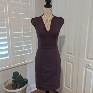 EUC | French Connection | Purple Pencil Dress